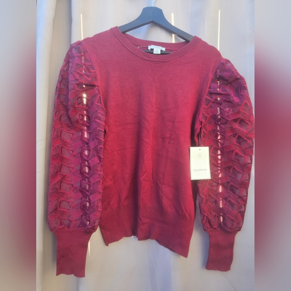 Wine/Burgundy Floral Balloon Lace Sleeve Sweater Calligraphie